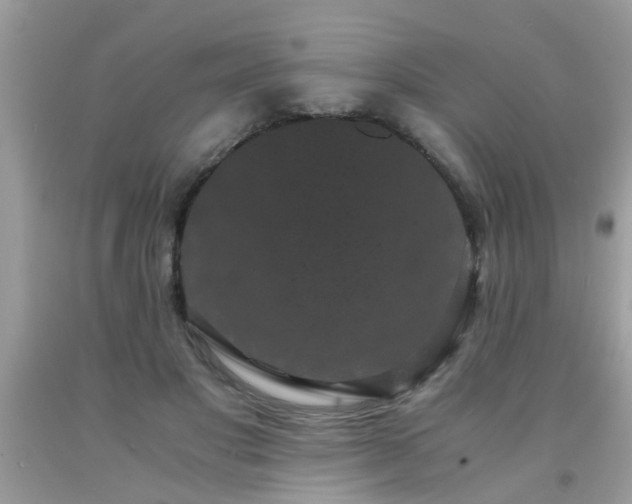 X0000093750501200710231235