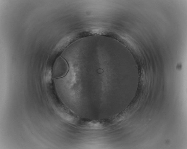 X0000093750502200710231235