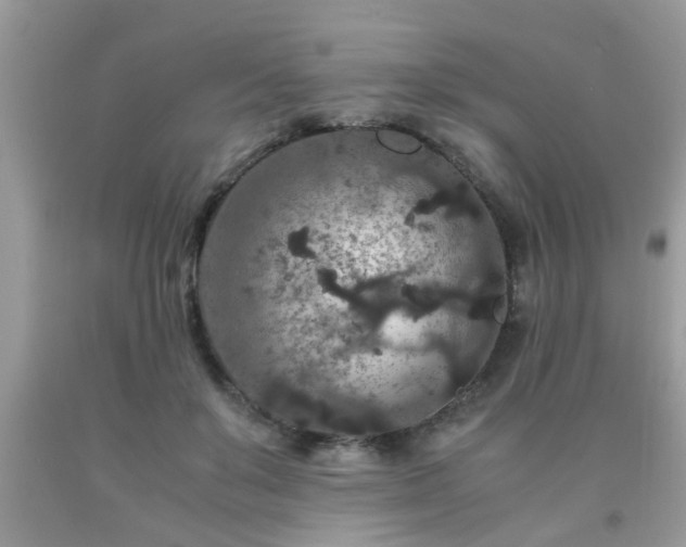 X0000093750503200710231235