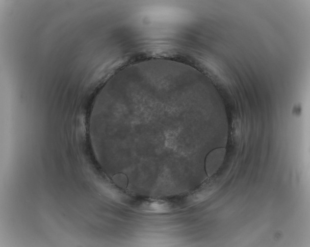X0000093750506200710231235