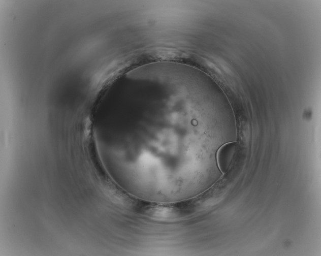 X0000093750507200710231235