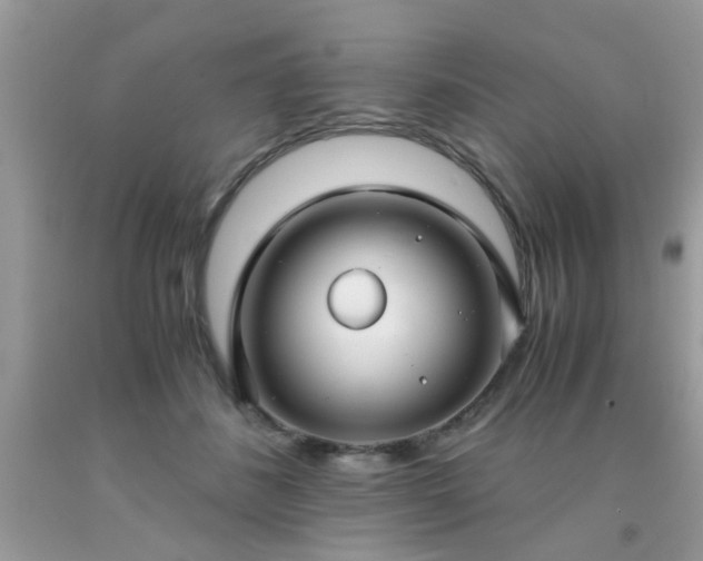 X0000093750508200710231235
