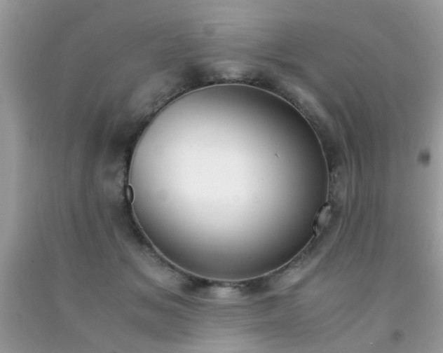 X0000093750509200710231235