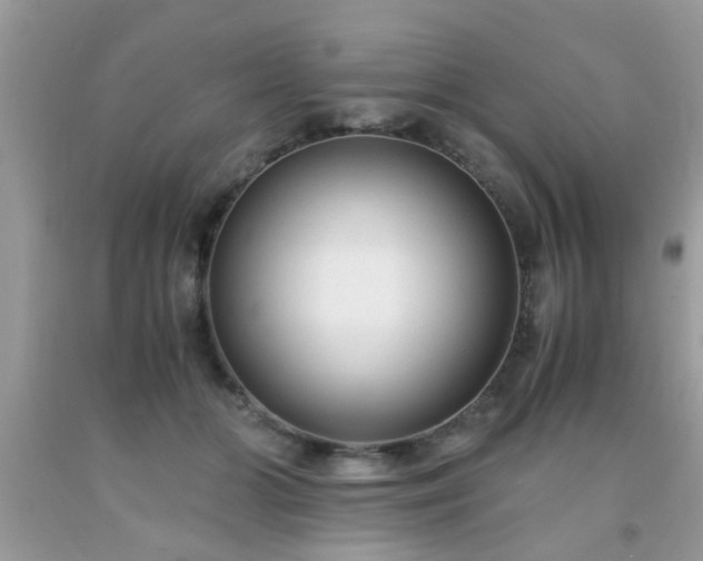 X0000093750510200710231235