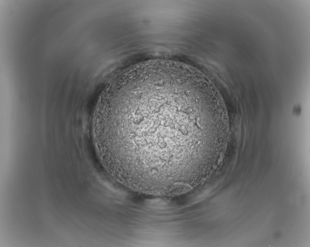 X0000093750511200710231235