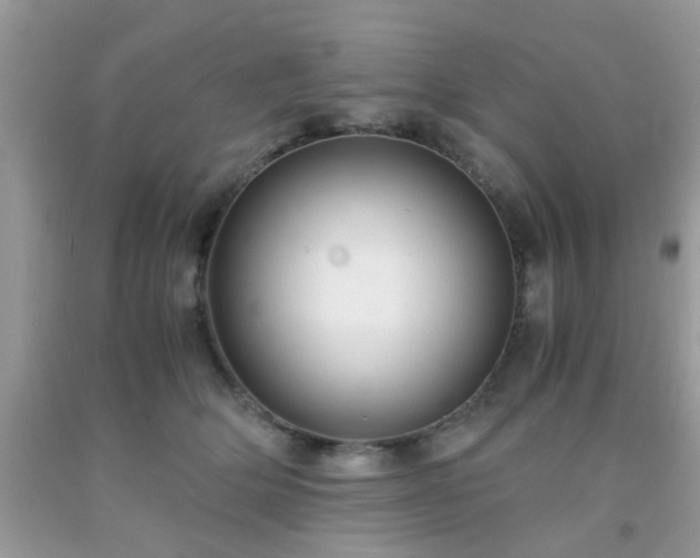 X0000093750514200710231235