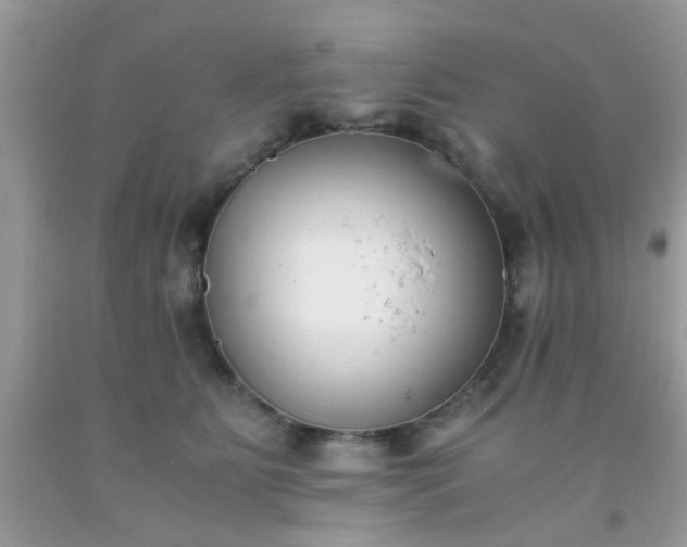 X0000093750515200710231235