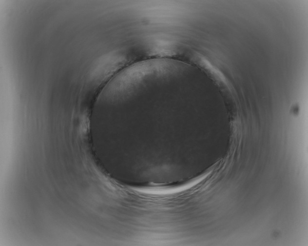 X0000093750517200710231235