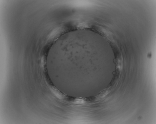 X0000093750519200710231235
