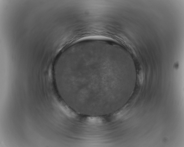 X0000093750520200710231235
