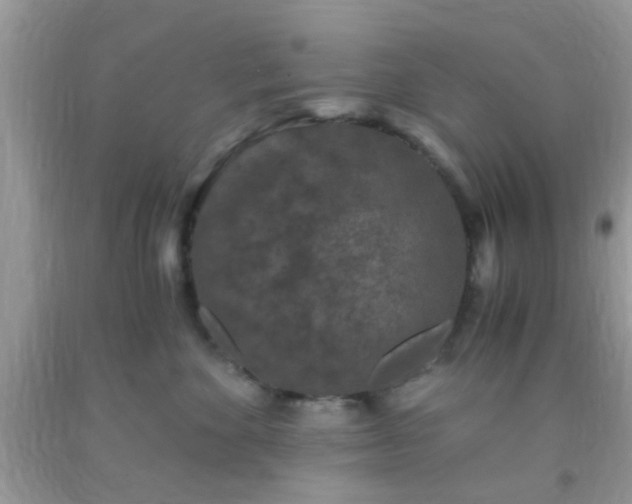 X0000093750524200710231235