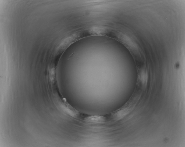 X0000093750526200710231234