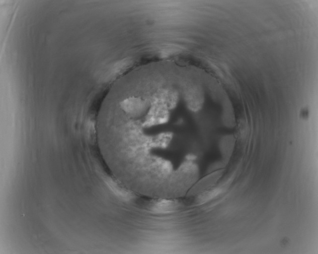 X0000093750527200710231234
