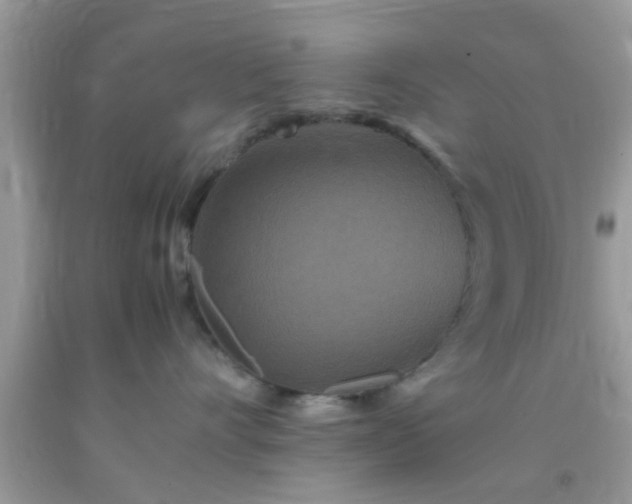 X0000093750528200710231234
