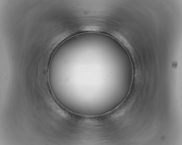 X0000093750529200710231234