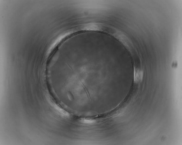 X0000093750531200710231234