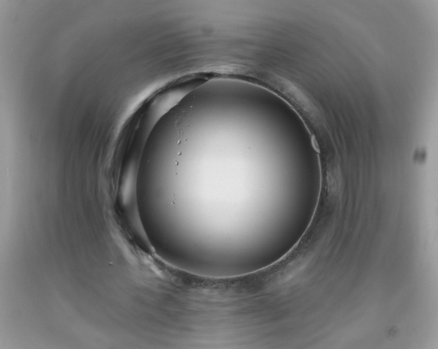 X0000093750532200710231234