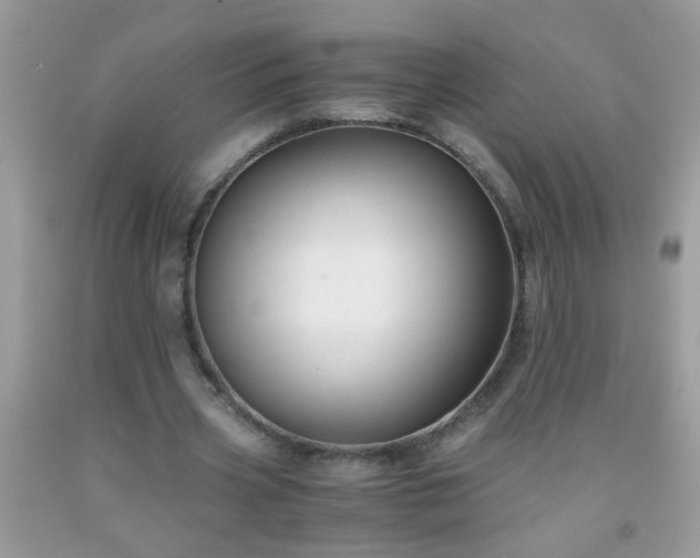 X0000093750533200710231234