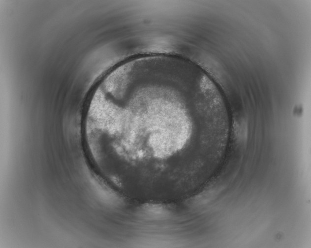 X0000093750534200710231234