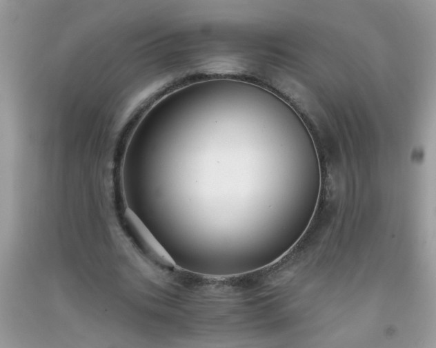 X0000093750535200710231234