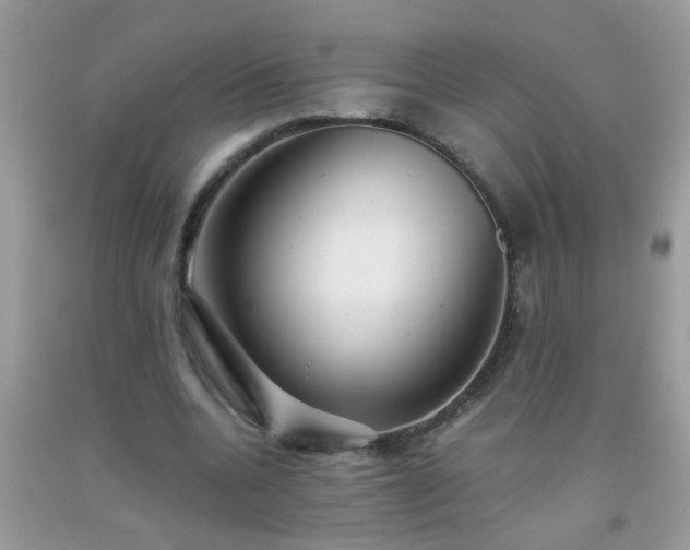 X0000093750536200710231234