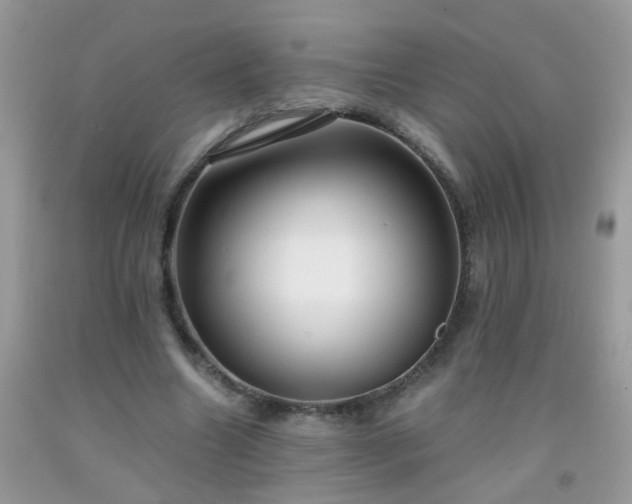 X0000093750538200710231234