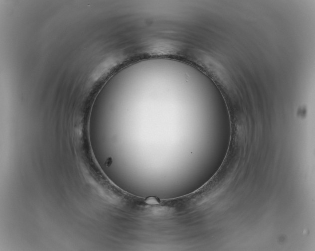 X0000093750539200710231234