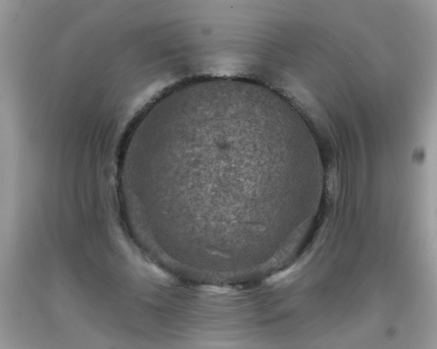 X0000093750540200710231234