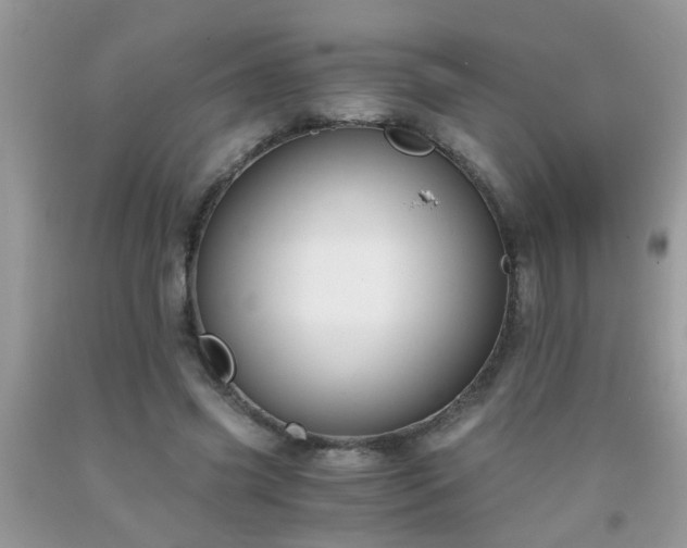 X0000093750541200710231234