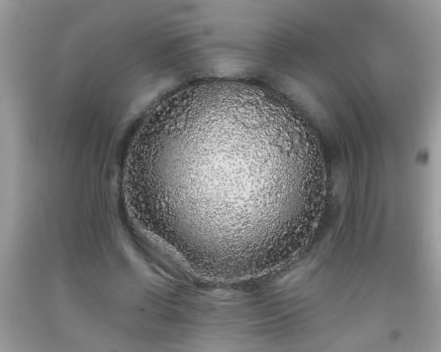 X0000093750542200710231234