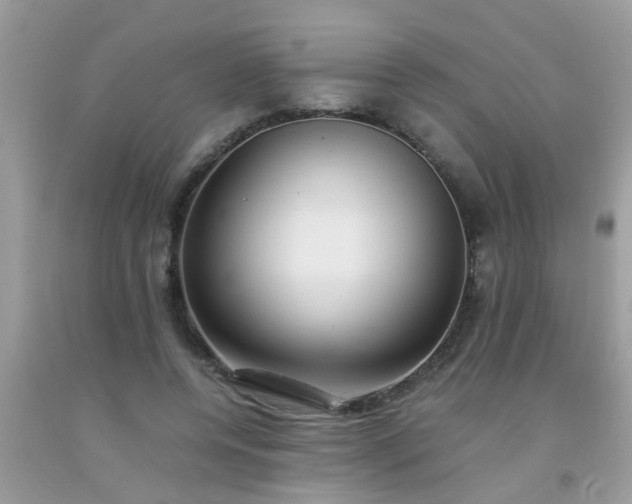 X0000093750544200710231234