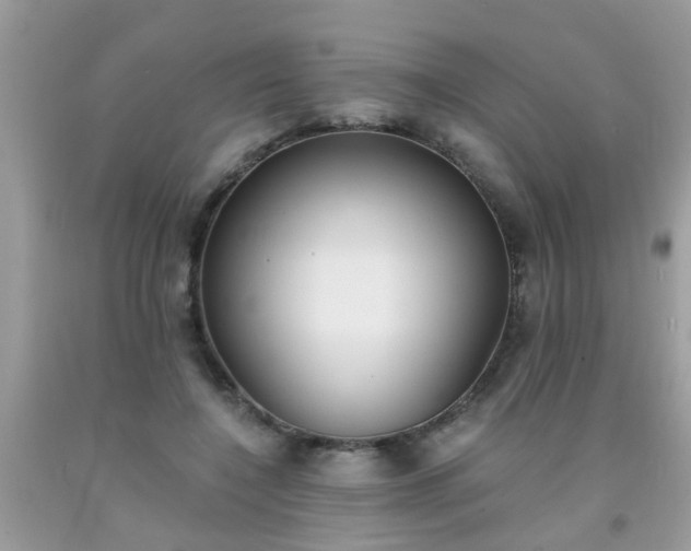X0000093750548200710231234