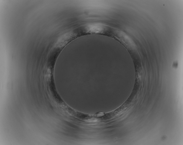 X0000093750551200710231234
