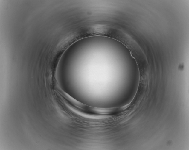 X0000093750552200710231234