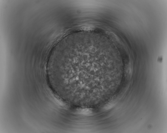 X0000093750553200710231234