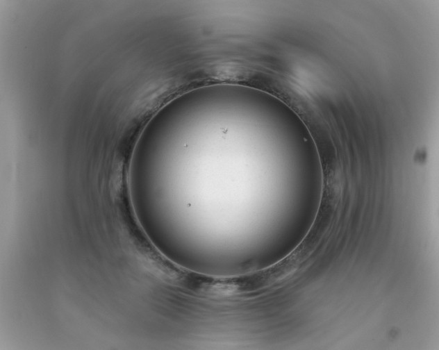 X0000093750554200710231234