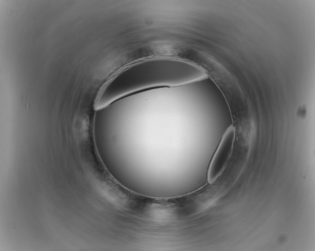 X0000093750556200710231234