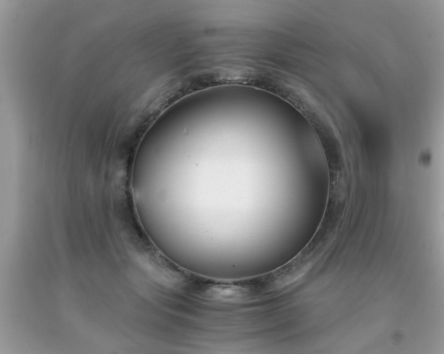 X0000093750557200710231234