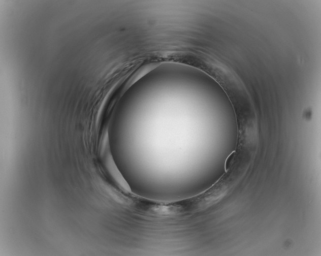 X0000093750558200710231234
