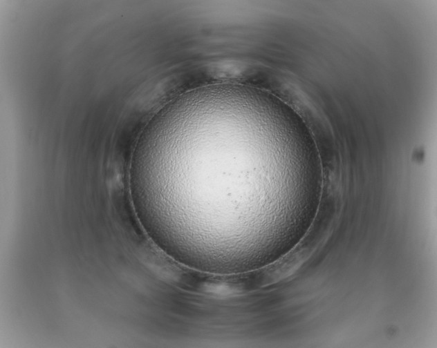 X0000093750561200710231234