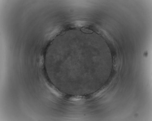 X0000093750563200710231234