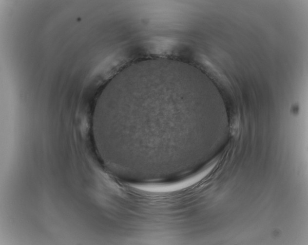 X0000093750566200710231234