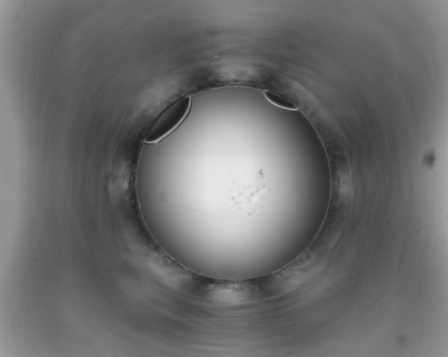 X0000093750567200710231234