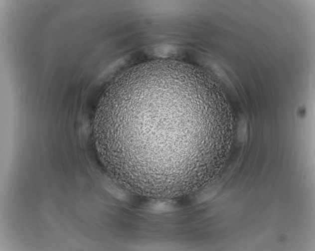 X0000093750569200710231234