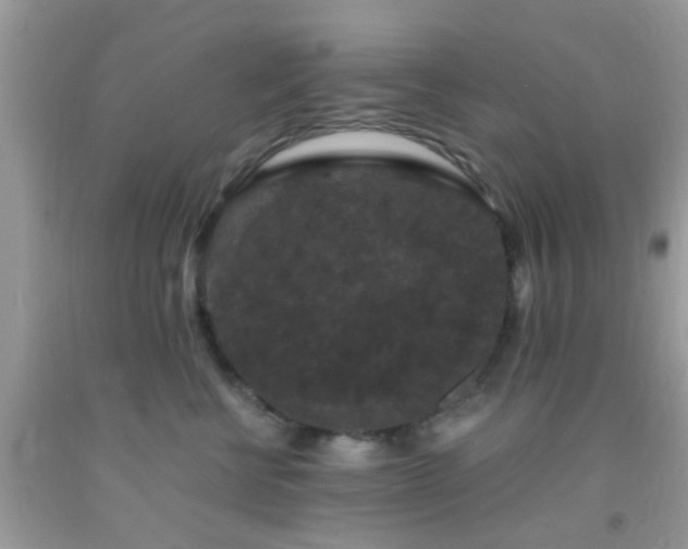 X0000093750570200710231234