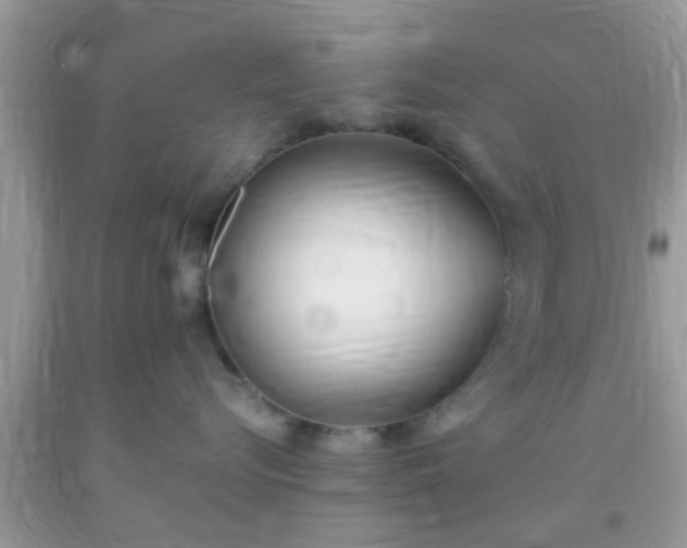X0000093750576200710231234