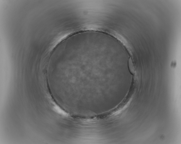 X0000093750577200710231234