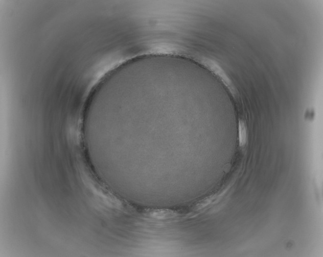 X0000093750579200710231234