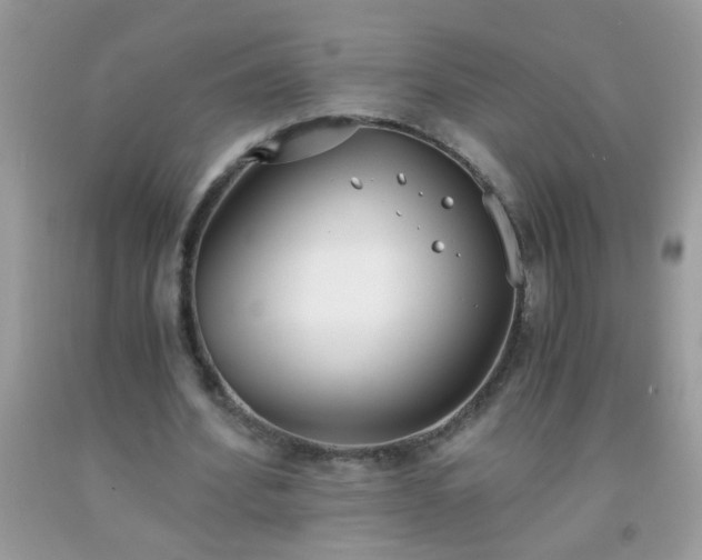 X0000093750580200710231234