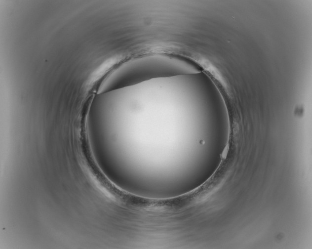 X0000093750581200710231234